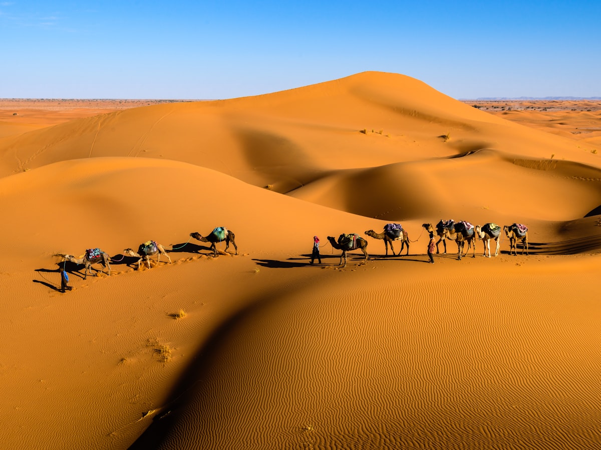بكرة صغيرة