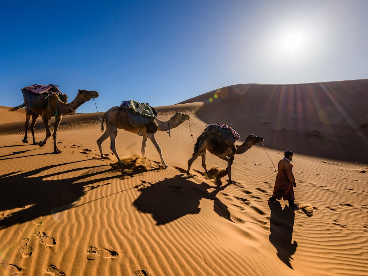 قعود مجاهيم